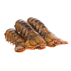 Lobster Tail