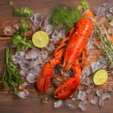 Lobster (Whole)