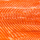 Salmon Fillet