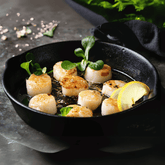 Sea Scallops