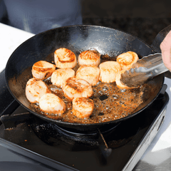 Sea Scallops