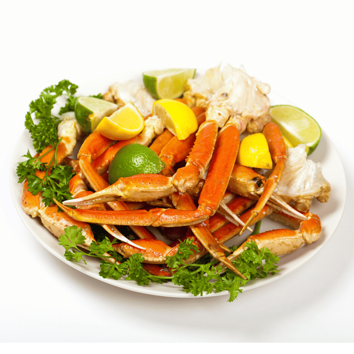 Snow Crab